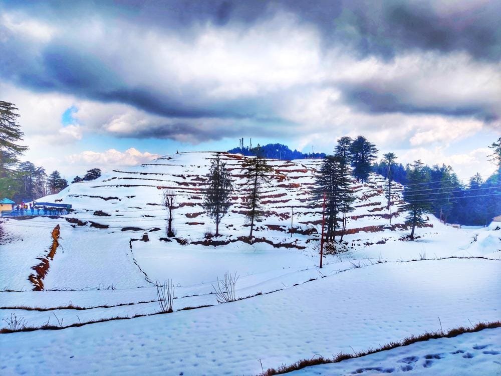 Manali Snow
